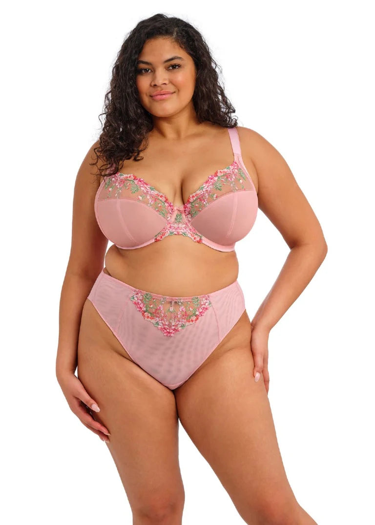 Aerith Brazilian Brief
