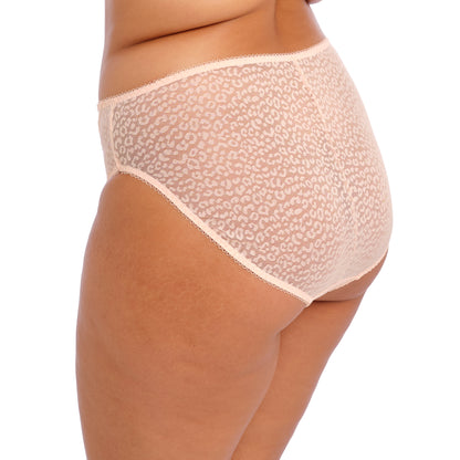 Lucie Brief