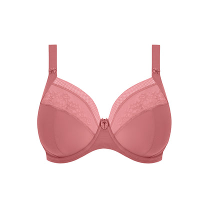 Nerina UW Plunge Bra
